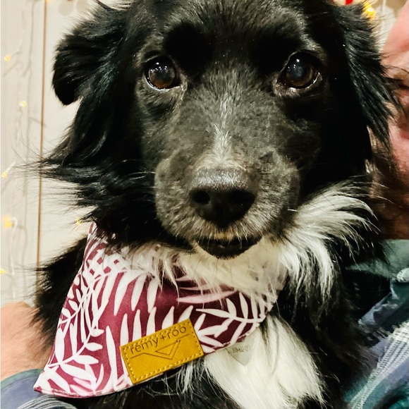 Meet your Posher, Kristina - Picture 2 of 5